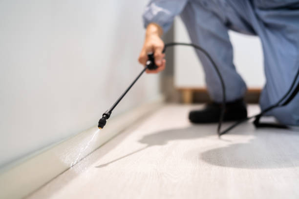 Licensed Cockroach Control service in Croswell, MI - Nex Pest Control