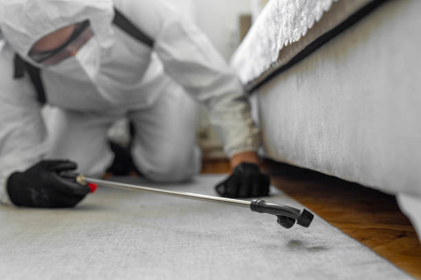 Professional Cockroach Control technician working in Croswell, MI