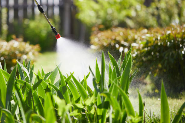 24/7 Emergency Cockroach Control experts in Croswell, MI