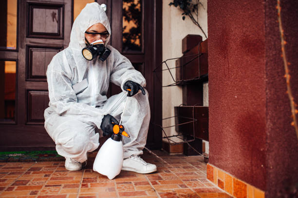 Reliable Cockroach Control contractor in Croswell, MI by Nex Pest Control