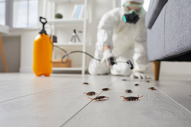 Affordable Cockroach Control solutions in Croswell, MI